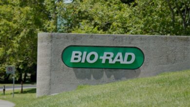 Bio-Rad Laboratories stock analysis and stock forecast