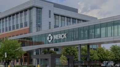 Merck Stock Analysis and stock forecast