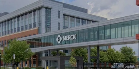 Merck Stock Analysis and stock forecast